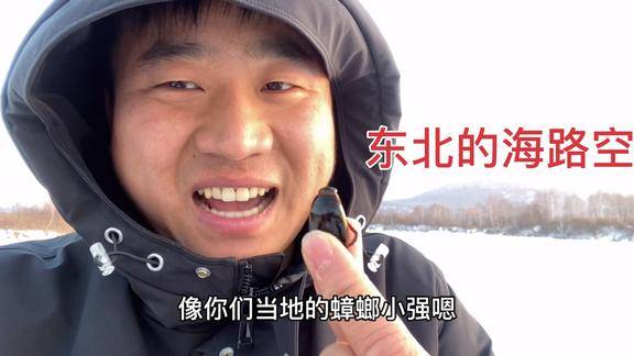 东北的憋盖子长得像南方的蟑螂当地几十块一斤龙哥敢直接吃