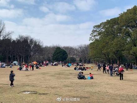 就地过年同样精彩！春节长假，上海共接待游客492.16万人次