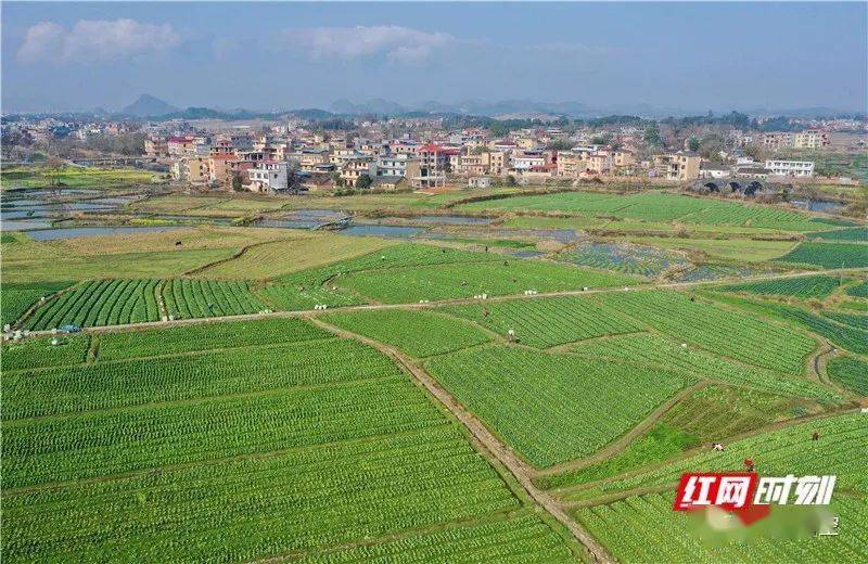 道州市人口_道州市