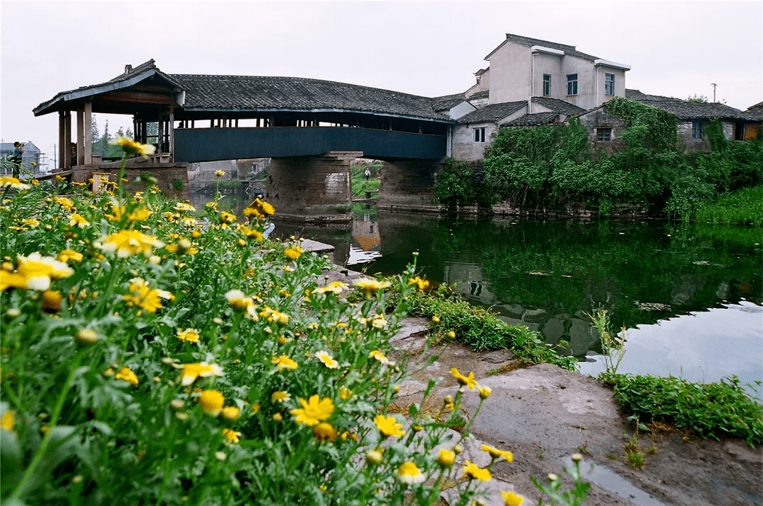 在海曙寻年味洞桥寻芳故里年在心底