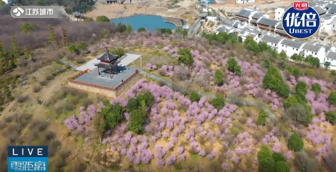 卞维亮表示,每年春天,洪蓝傅家边片区不仅能赏梅花,采草莓,逛古朴的