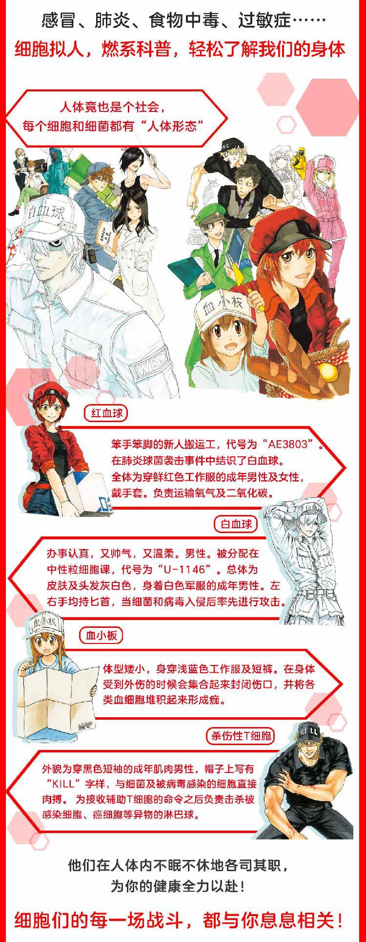 上海电视节获奖 新春登陆央视 漫画中文版引进 日本科普动画 工作细胞 为啥这么火 清水