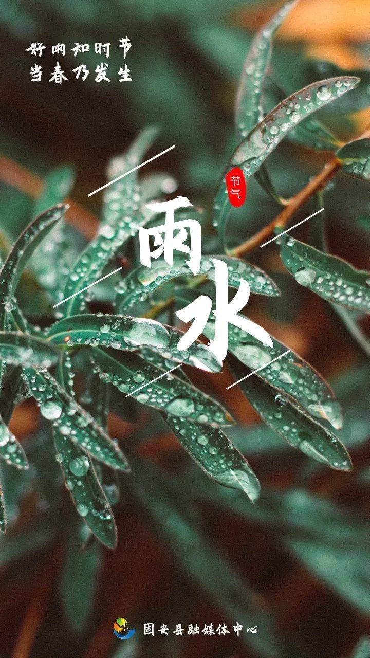 雨水節氣春風化雨喜迎春歸