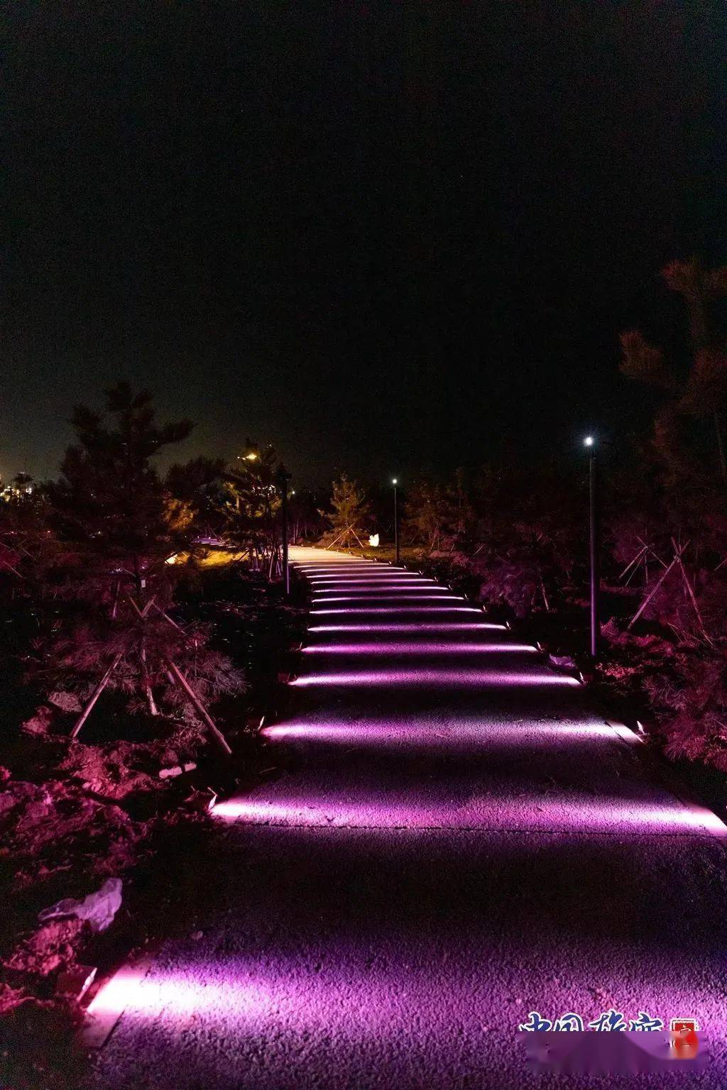 雄山公园夜景图片