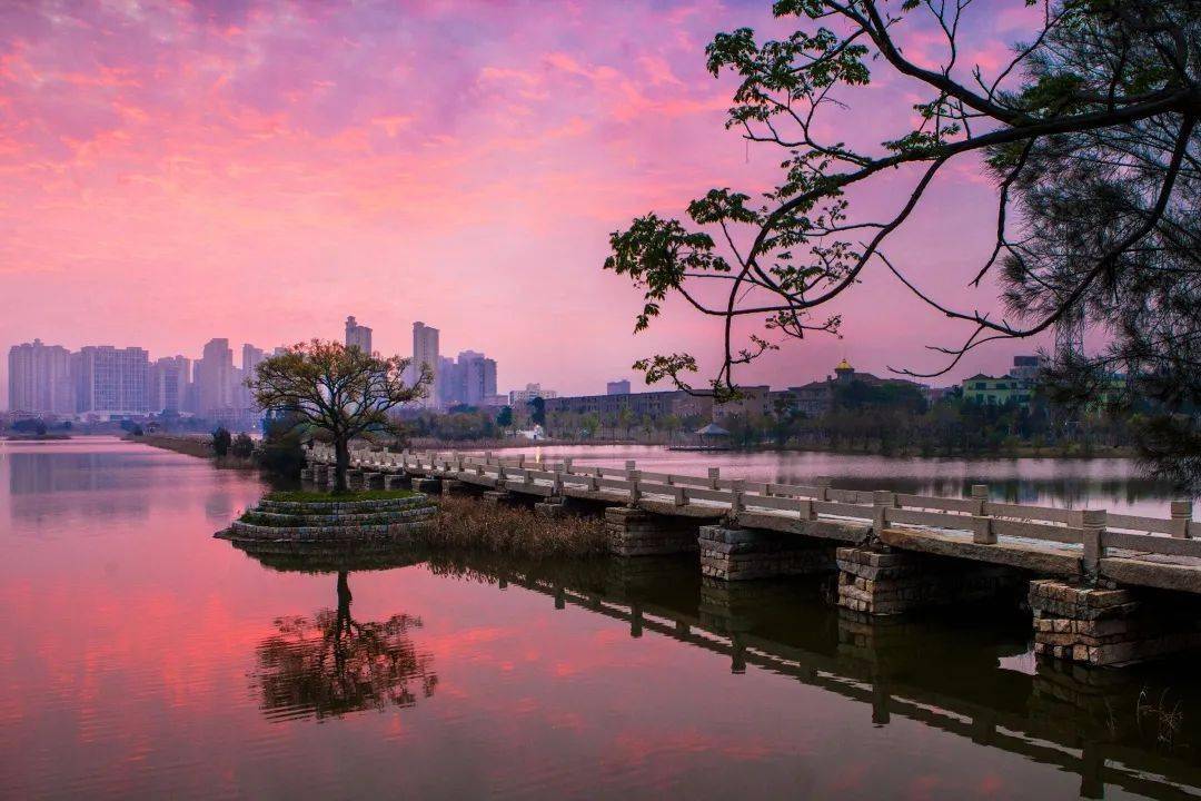 【七绝】《安平飞虹》庄灿煌