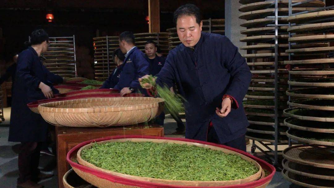 婺源绿茶最大茶厂图片