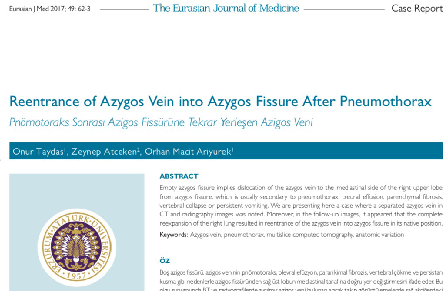 一网打尽肺叶间附属裂