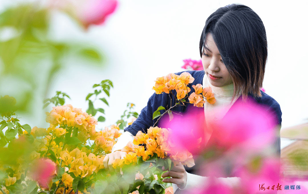 海口经济总量2021_海口经济学院(3)