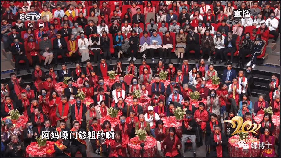 你家有春晚同款水仙花吗?凹个造型更能美醉你