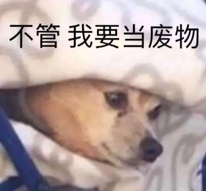 866a816f208d4ceb9142a199c211ae06.jpeg