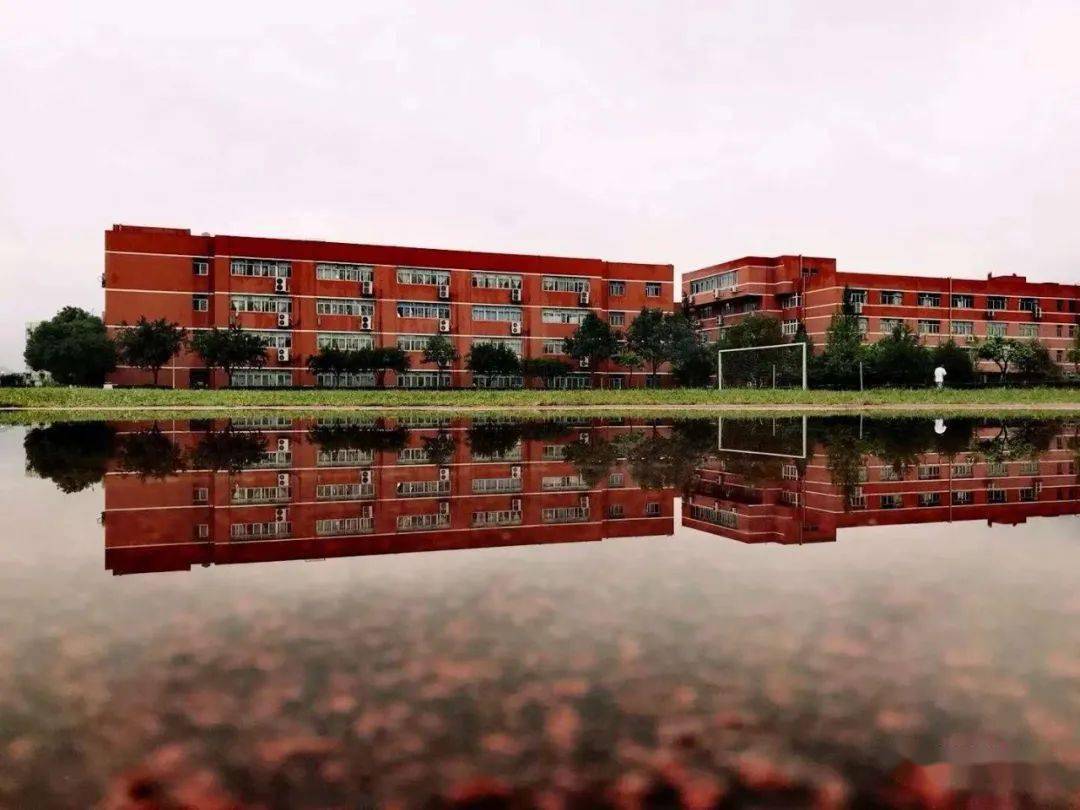 【廖思曙专栏】主持人|廖思曙(浙江省温州育英国际实验学校初中分校