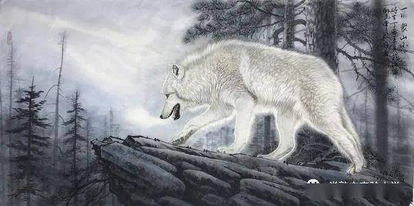 邑学61i朗读徐佳烨