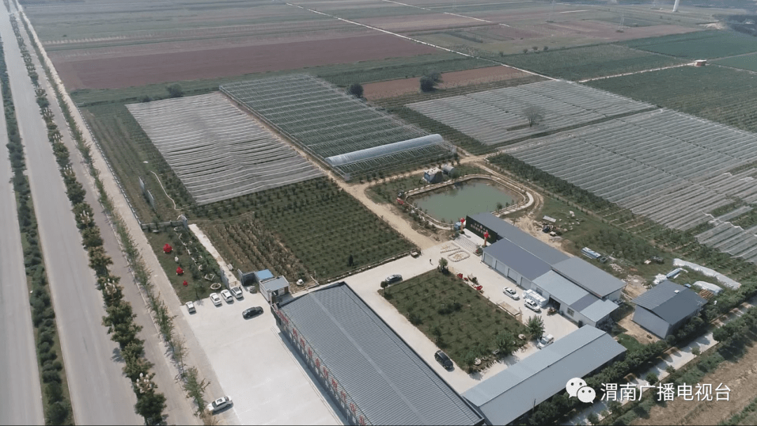 太和县gdp480亿_太和县中医院图片(3)