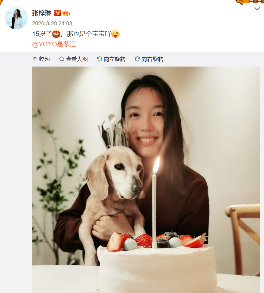 怀孕6个月上春晚拒嫁30亿豪门中国首位世界小姐究竟是什么人