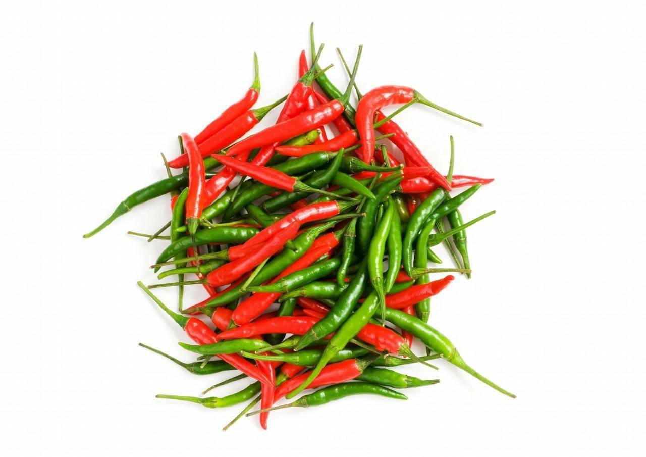 基金项目山东滕州辣椒优质高产栽培技术