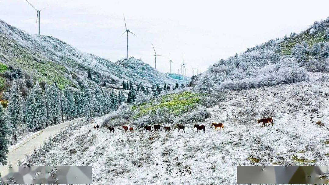 2月专题利川齐岳山北纬30的神秘雪景