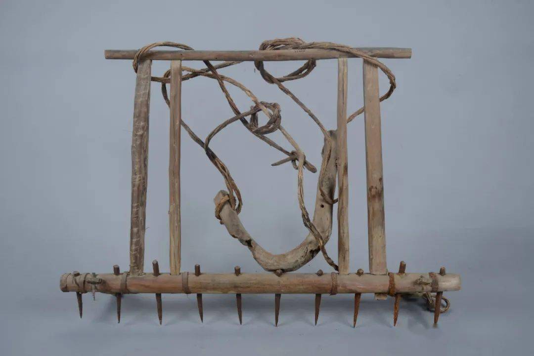 牛年说牛事来博物馆看看牛的前世今生