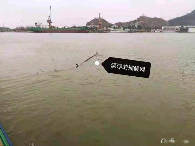 春节期间,长江五峰山大桥附近水域发现捕鳗鱼网,引起长航警方和宁镇扬