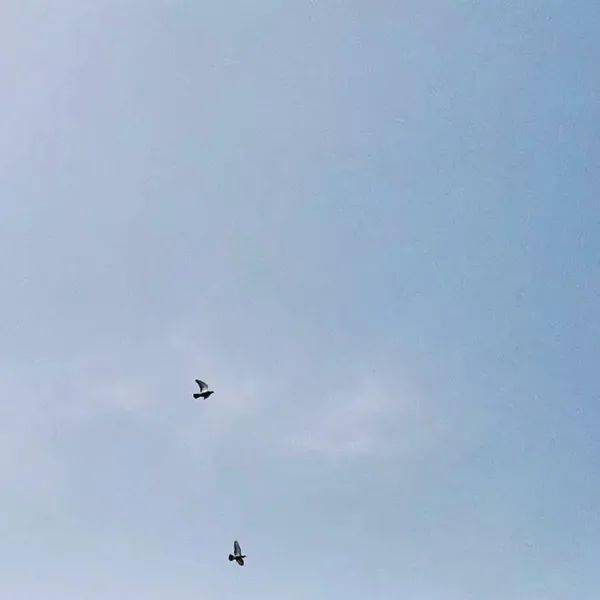 什么是昨天今天明天和后天 f648095385474d18901c0bf54eed3edc.jpeg