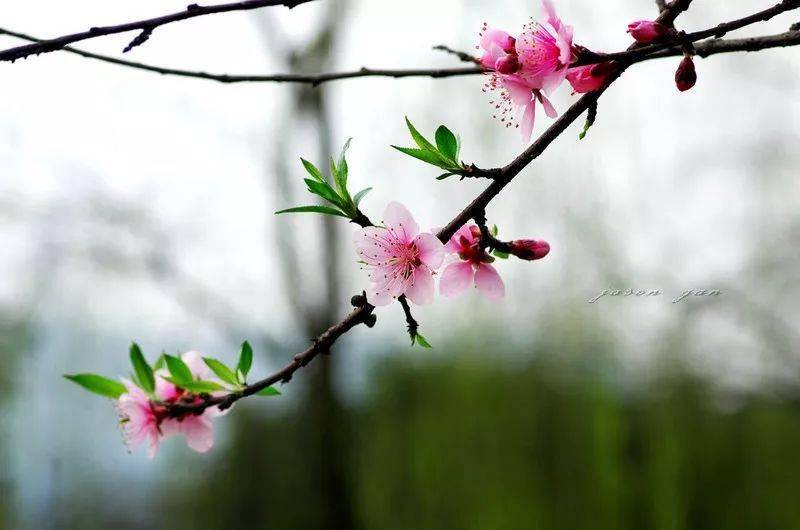 春韵春风春雨