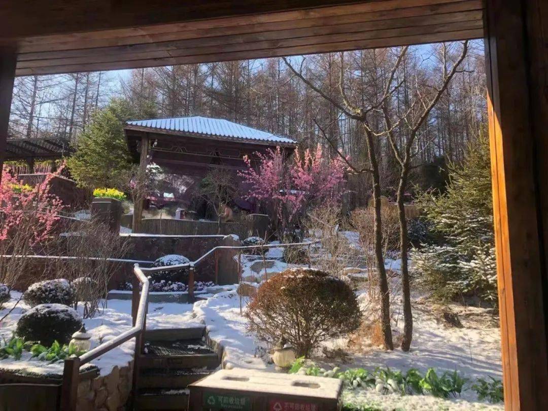 春节期间我市东汤天沐君澜温泉备受青睐