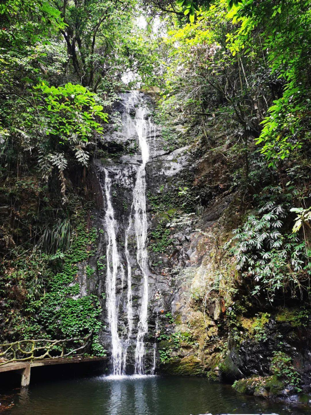 【柳州周边游推荐】融水双龙沟童话森林 梦呜苗寨二日高端自由行!