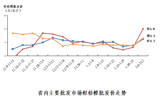 沙糖桔零售行情上涨