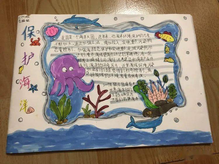 博大宽广的海洋,是生命之源给予人类最美好的馈赠!
