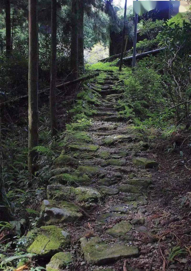 遇见最美春天,湖州的古道走一走~趁着暖阳马上出发!