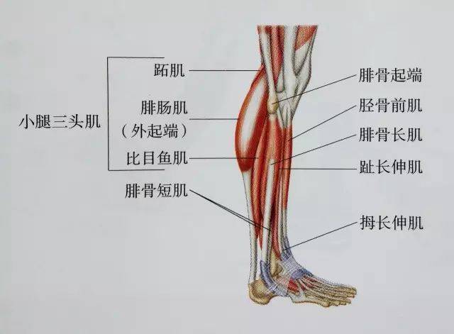 经典21点平台