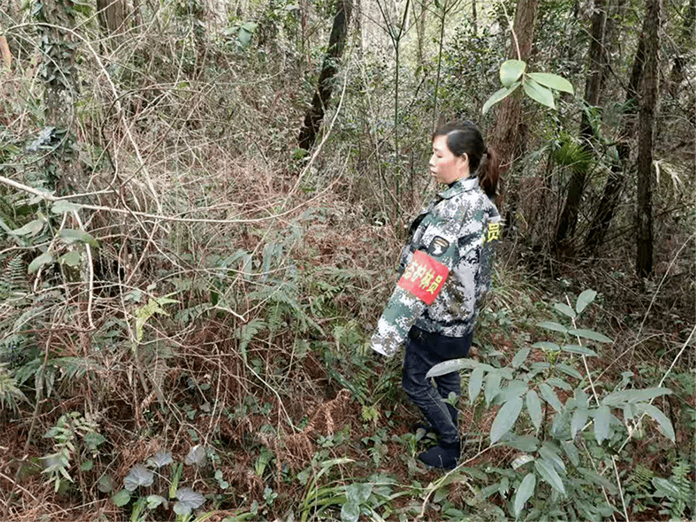 花垣人口统计_湘西花垣苗族赶秋(2)