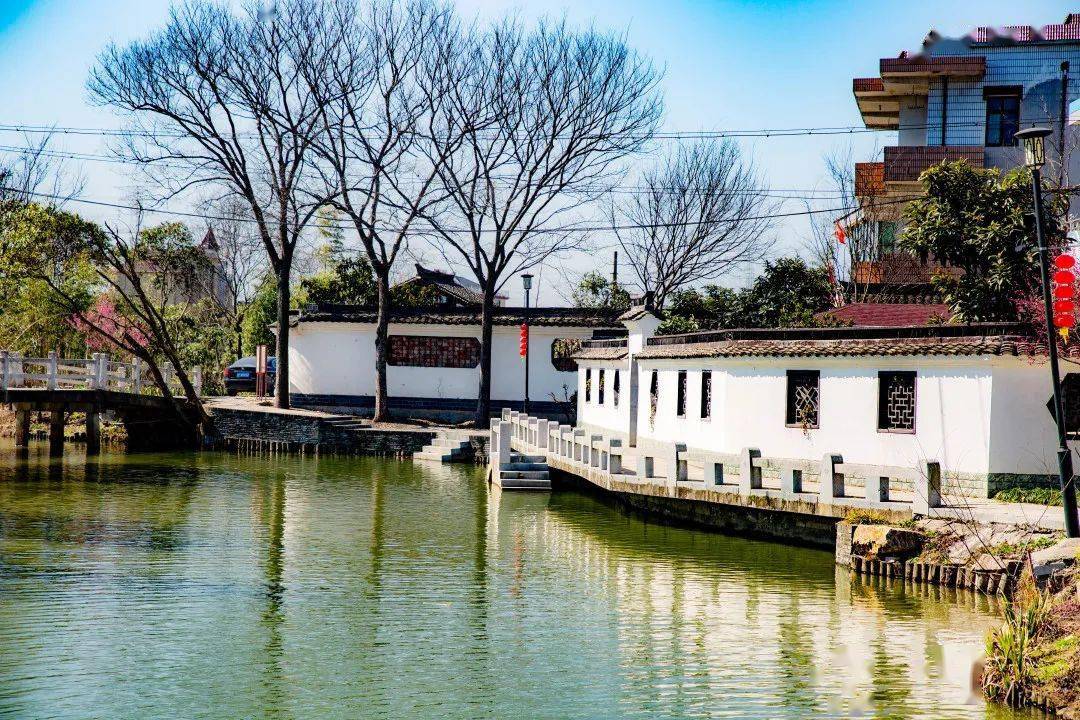 走去南梅村赏梅