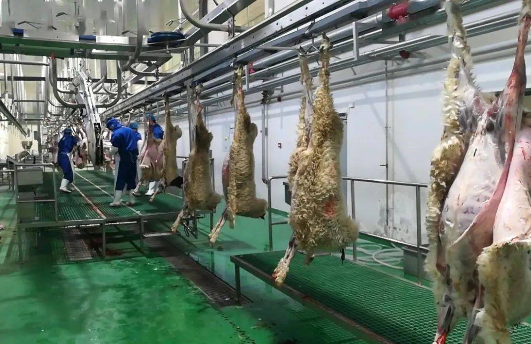 集中区的会宁陇原中天羊业有限公司百万只羊肉屠宰精深中心加工车间时