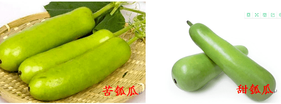 春天来临 食用野菜谨防中毒 有毒