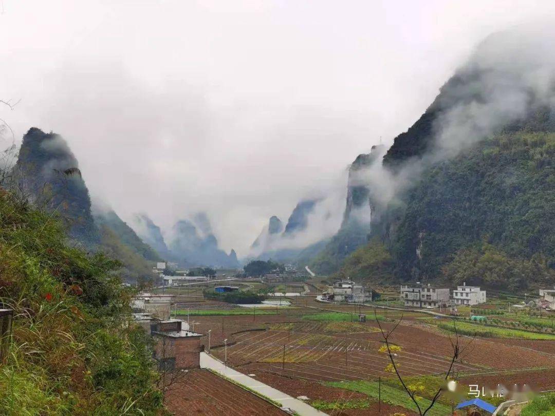 仙桥马山村人口(3)