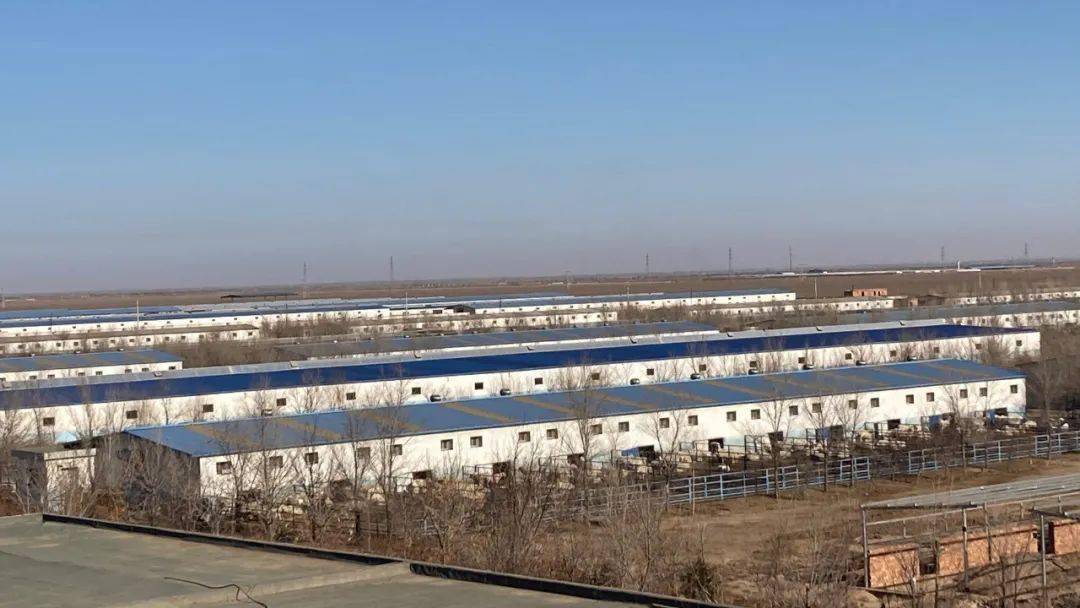 金昌区县GDP_全省50个县区市GDP突破百亿