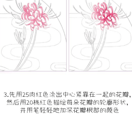 彼岸花怎么画最简单 搜狗图片搜索