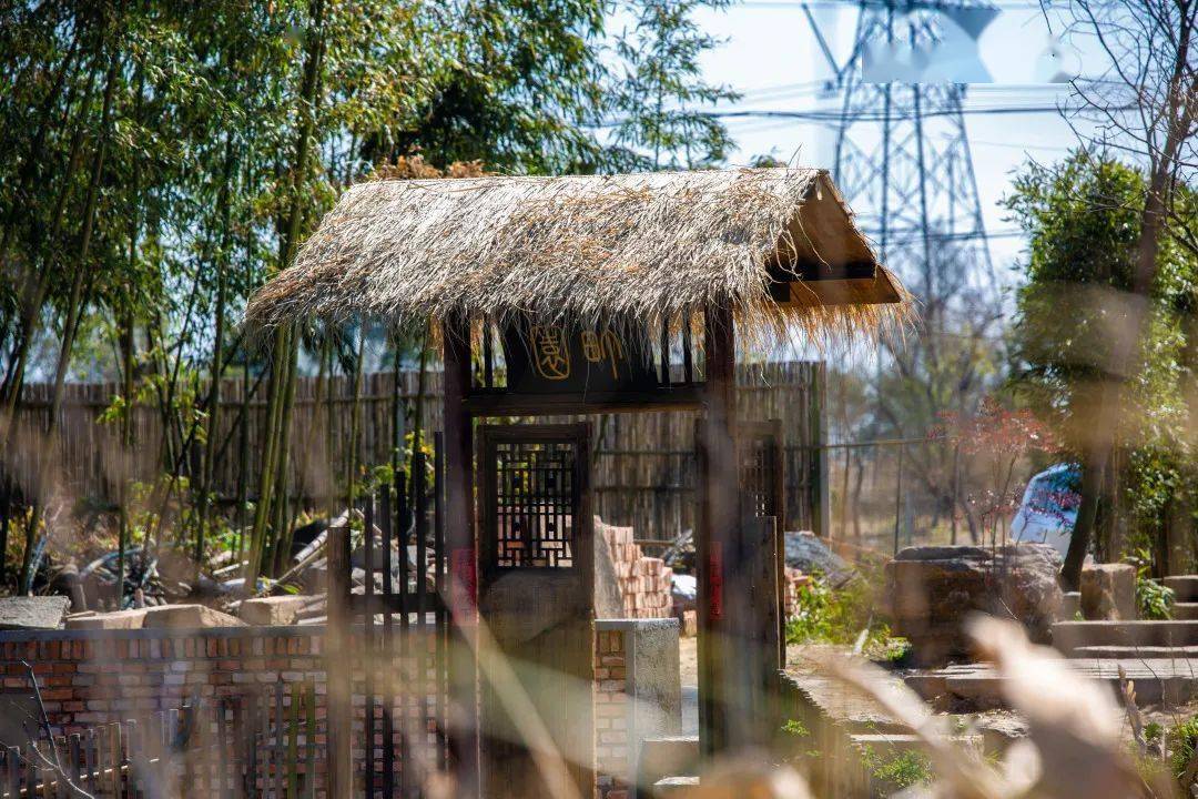 走去南梅村赏梅