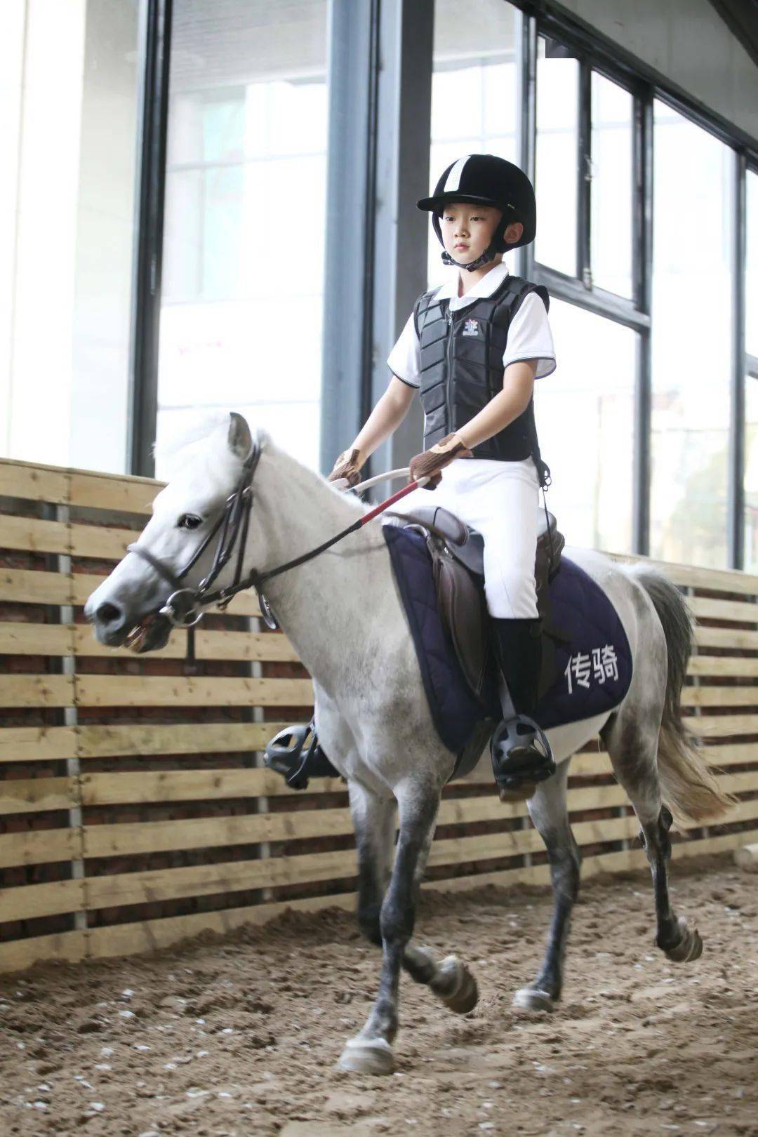 传骑马术丨热血马、温血马和冷血马，你们都了解吗？_搜狐网, image size:1080x1620