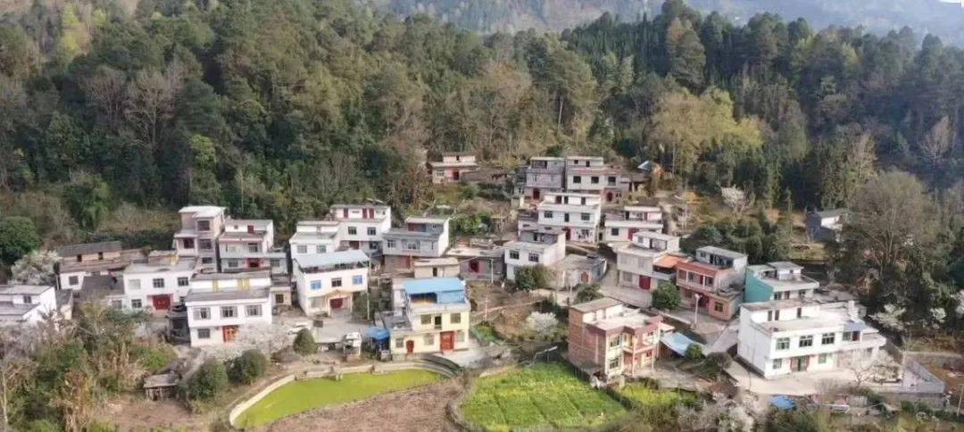 广西要给农村房子发证了快看你家房子符合条件吗