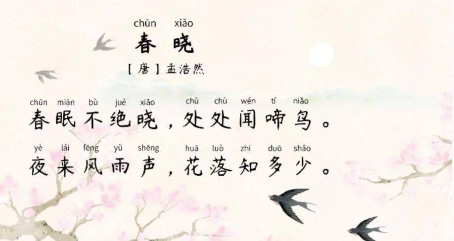 猜成语夜来风雨声 花落知多少_夜来风雨声花落知多少(3)