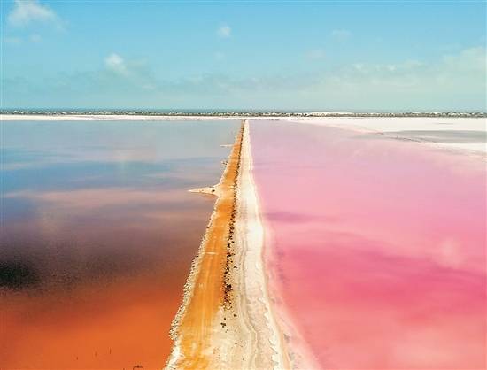 粉红色的湖泊