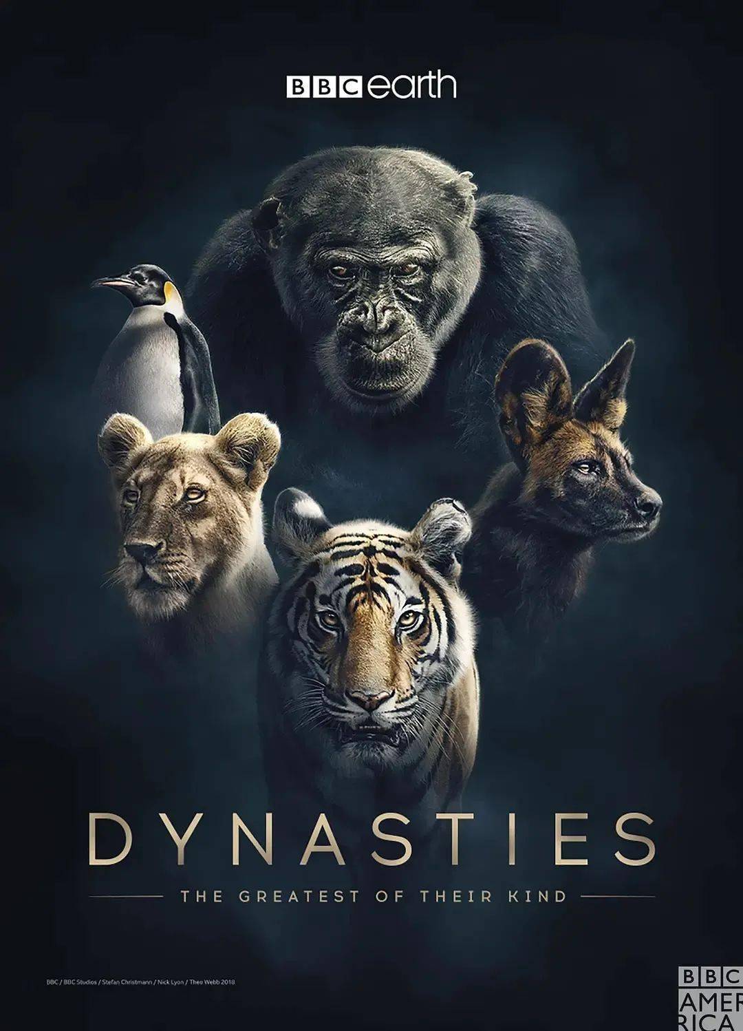 6!5部bbc神级纪录片,每一帧都美到极致,拯救假期片荒的你!