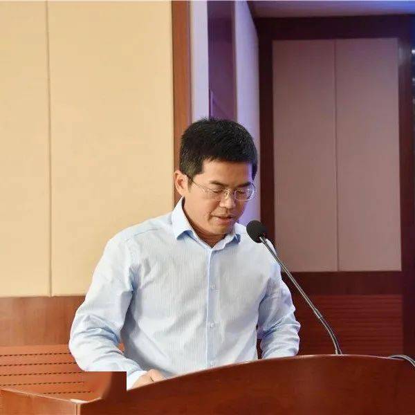 2021平阳各镇gdp_平阳公主(3)