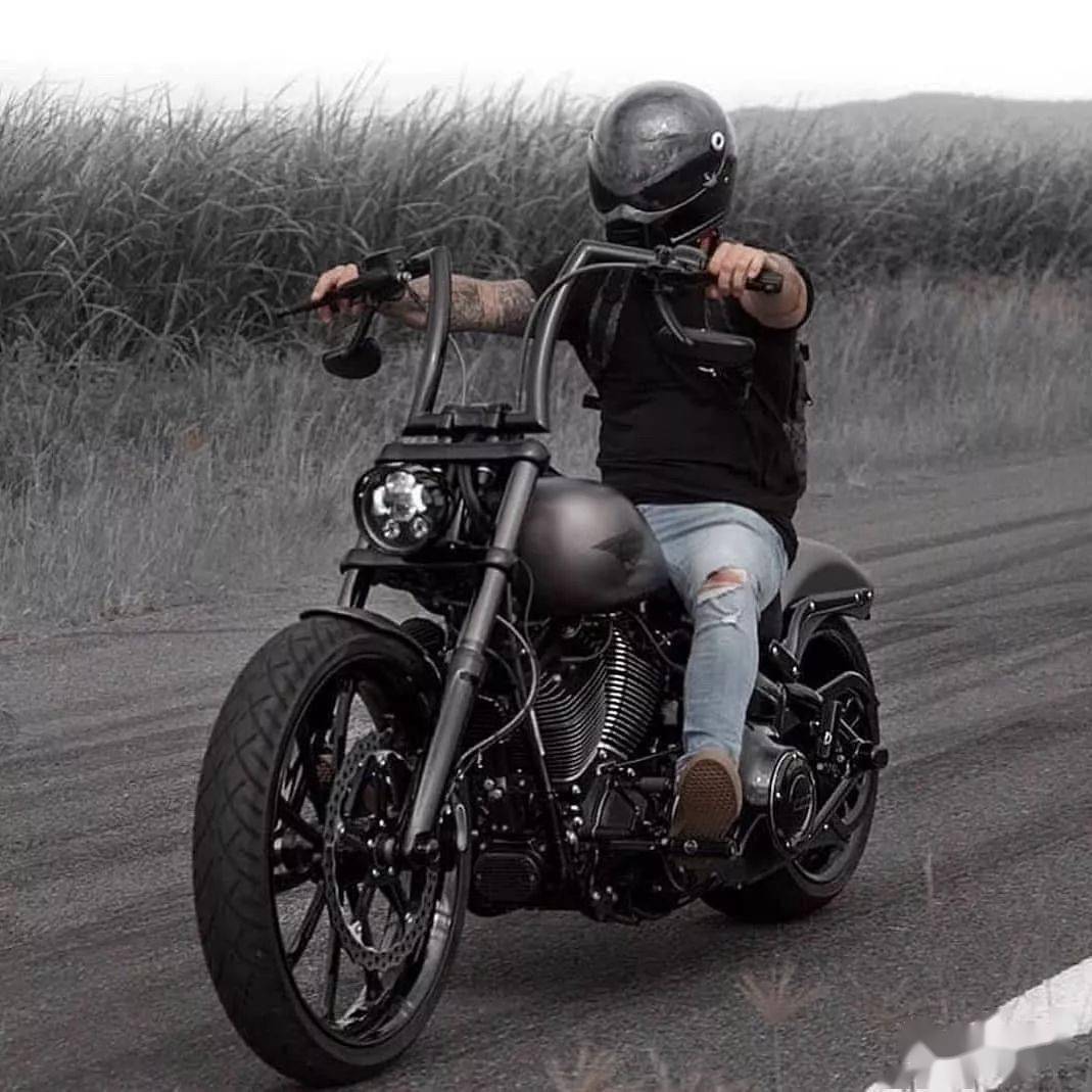 露出你的纹身,骑上你的哈雷_搜狐汽车_搜狐网