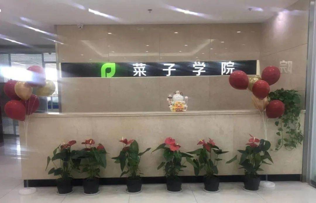 菜子学院线下校区盛大开业惊喜满满蓄势待发