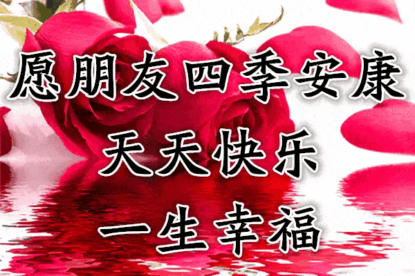 d4e21ce07f3c441aa6a4f39cd1417723.gif