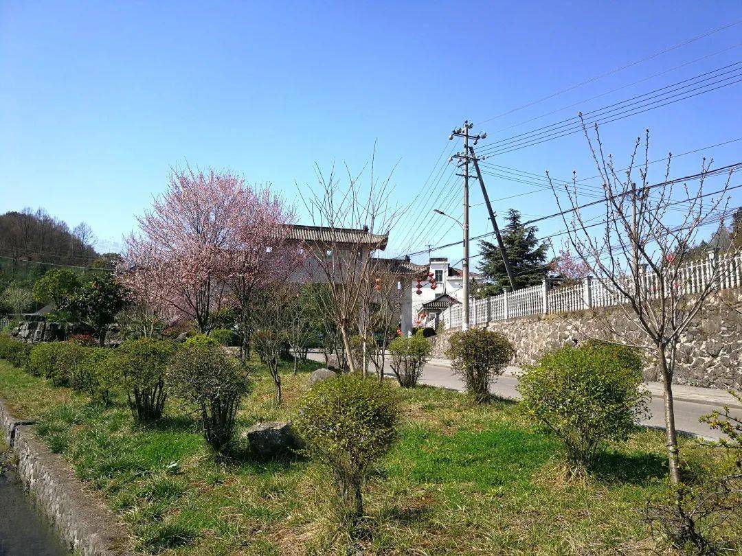 二月春風何處好,潘灣生態公園花正開_梁山村