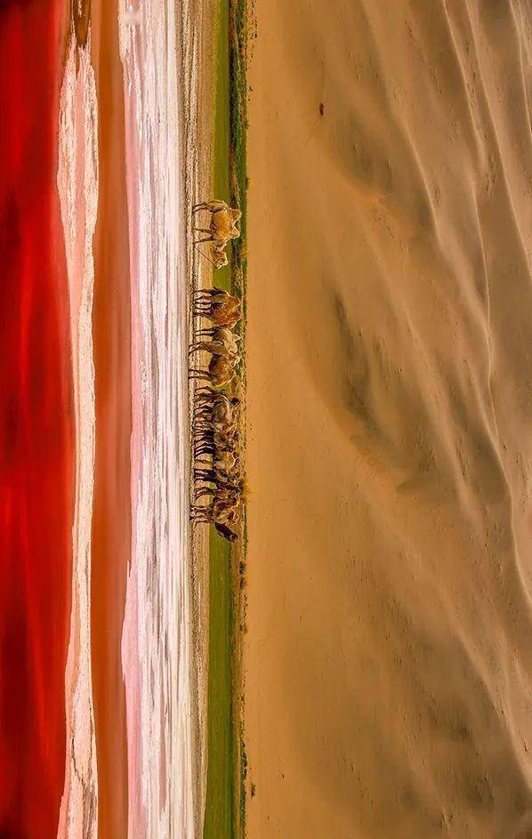 美图 | 巴丹吉林沙漠的红海子美得令人心醉！