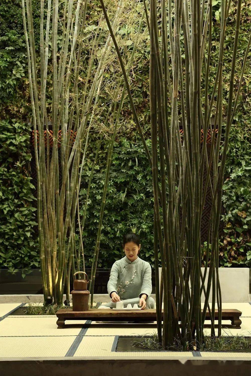 庭院有竹最是禅意